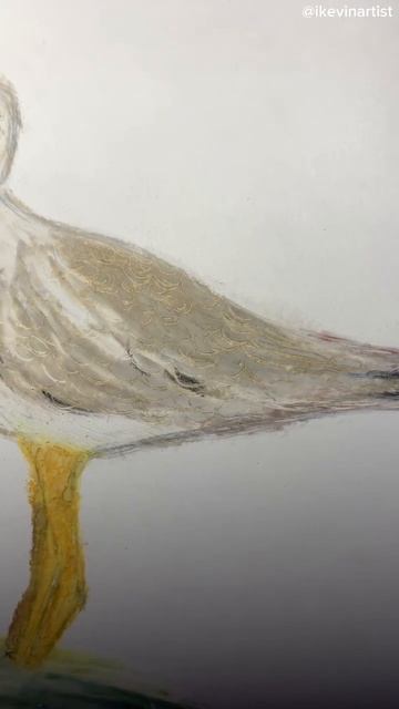 Oil pastel drawing - Marsh sandpiper #shorts #oilpastel #creativeart #birds