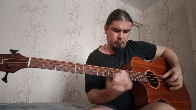 Акустическое бас соло
