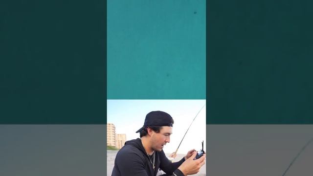 Black Tip SHARK Chasing Our Bait… 🤯🦈