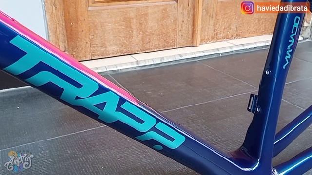 Repaint Colnago V3RS || MCM Bike Trapp