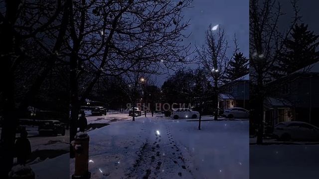 1000010319.mp4