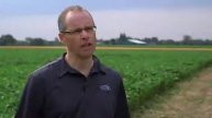Optimizing Fungicide Applications in Soybeans with Acapela®