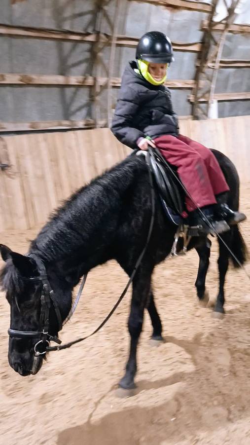 Наоми и Лера, шагаем боком в седле. #horse #equestrian #лошади #pony