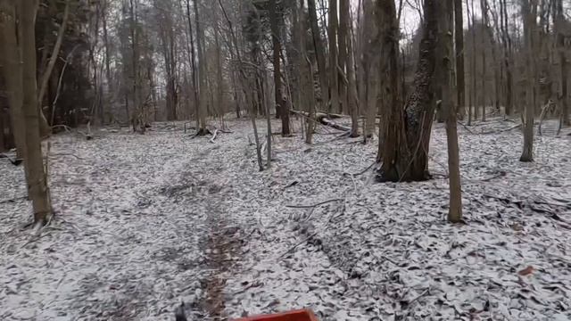 Fox & Coyote Trapping Season Series 2021 “ Fine Lookin Grey “