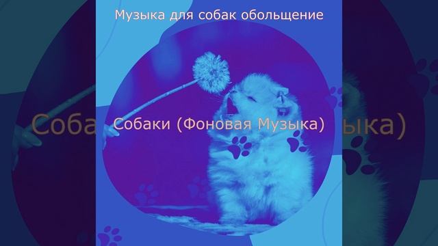 Чувство (Собаки)