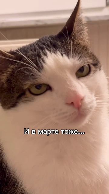 Ждём майские праздники