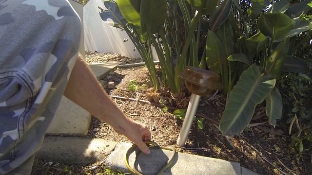 snake repeller lets a snake down