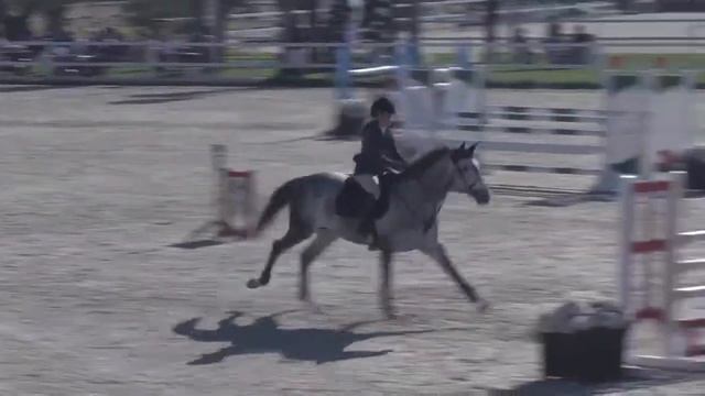 DULANA Z - Marta Gras Lorente - Bronze 2 - 1,25m - Valencia (24.10.2014)