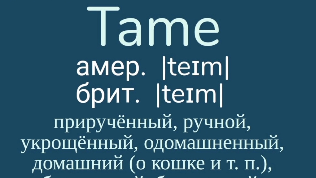 Advanced English words/ "Продвинутые" английские слова😎👉tame