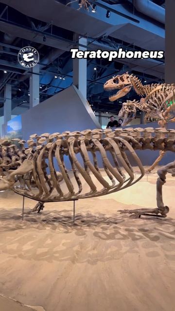 Murderers’ Row Late Cretaceous Style: Deinosuchus and Teratophoneus