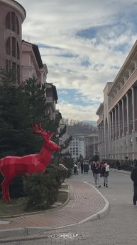 Красная поляна | Эстосадок #инвестиции