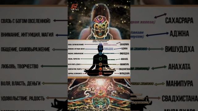 Zig-Therapy Чакры и Чувства