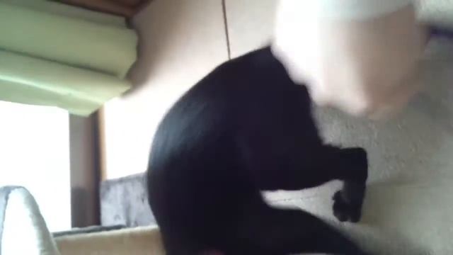 見ると酔うかも・・・