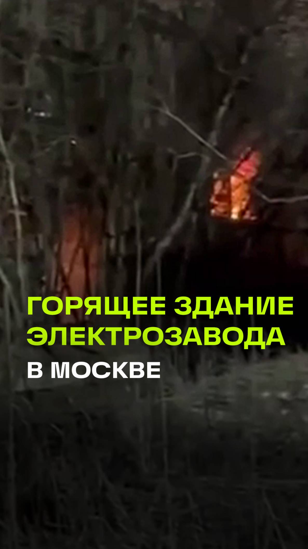 Более 40 человек спасли из горящего здания Электрозавода в Москве