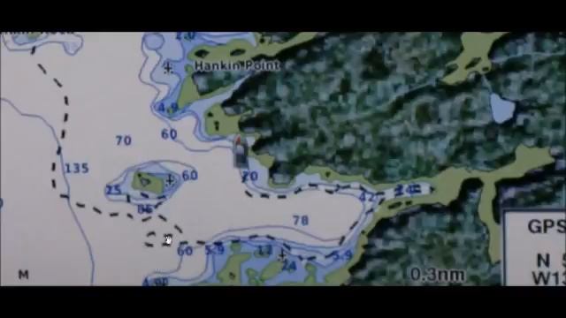Dana Durnford Fukushima Updates Dec 31th 2014