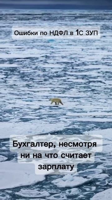 Ошибки по НДФЛ в 1С ЗУП #НДФЛ #1С