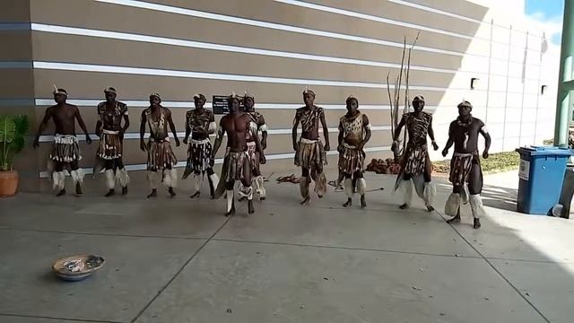 Imbube Shining Spears.
