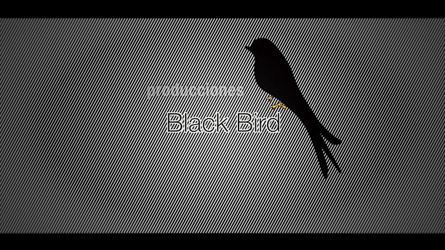 Black Bird