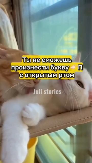 ВЕЩИ, КОТОРЫЕ ТЫ НИКОГДА НЕ СМОЖЕШЬ СДЕЛАТЬ
