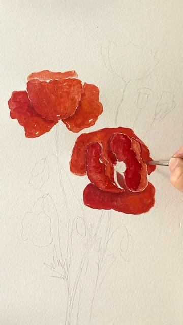 Mohnblumen mit Aquarell malen