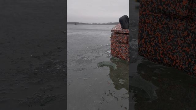 РАЙ ДЛЯ МОРМЫШКИ!