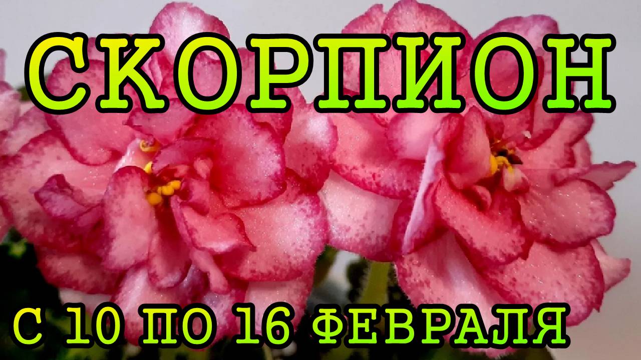 СКОРПИОН таро прогноз на неделю с 10 по 16 ФЕВРАЛЯ 2025 года.