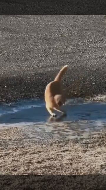 От себя не убежишь