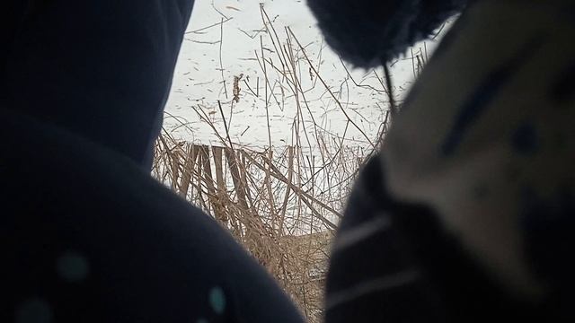 жарим доширак