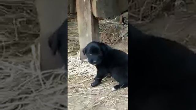 261747448 147296490967642 393665780997619111 n Групповушка.