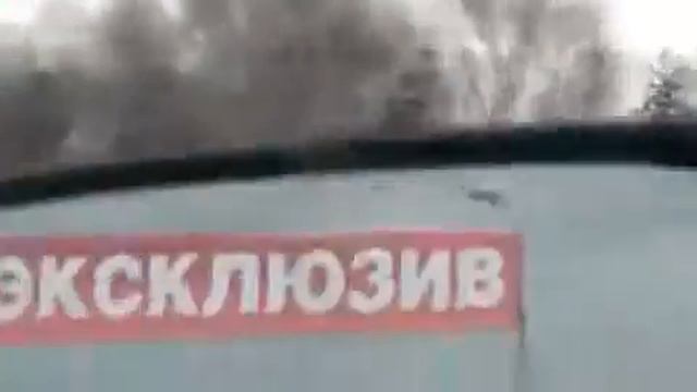 Bears On The Street in  Siberian town
