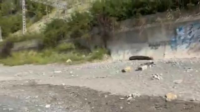 Подводка к клипу "солнечная самба"