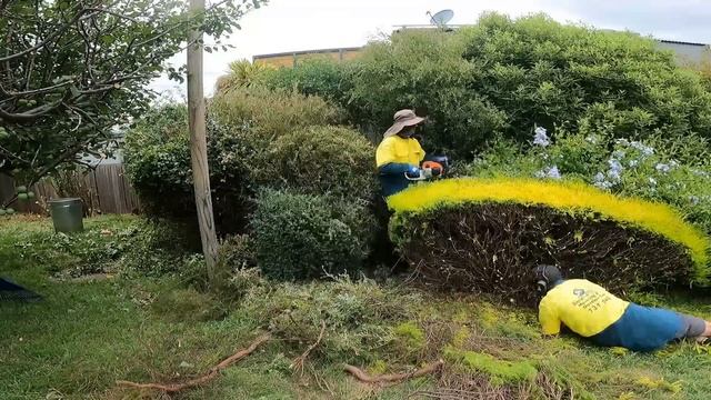 QC_ MASSIVE Garden Cleanup Смотрим как другие работают