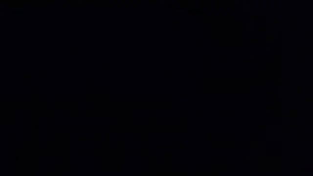 ninja salamander vs samurai ifraid