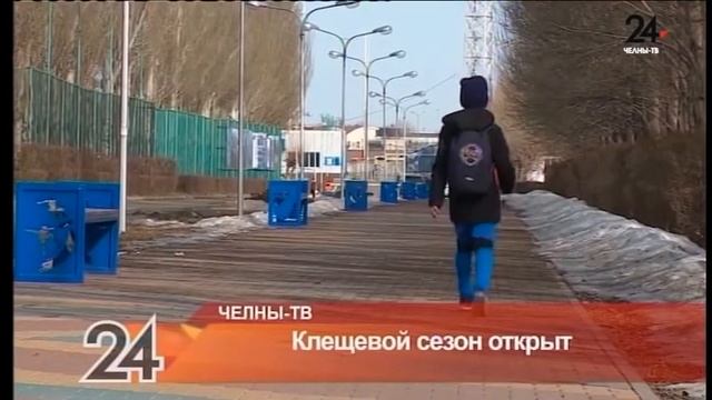 Клещевой сезон открыт