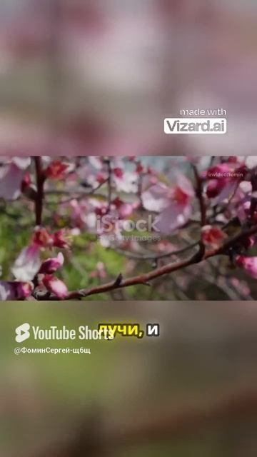 Вдохновляющее послание для каждого дня 🌸Shorts