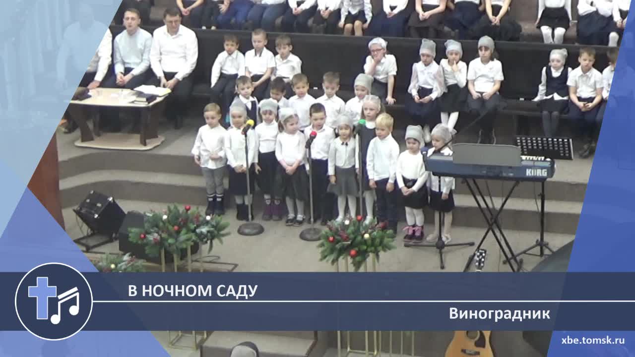 Виноградник - В ночном саду (Пение)