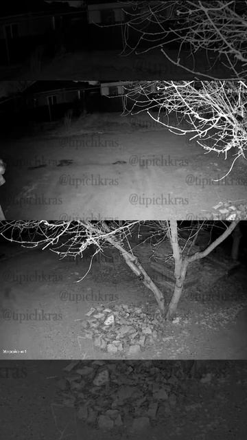Пять домов и несколько автомобилей пострадали во время ночной атаки на Славянск-на-Кубани.
