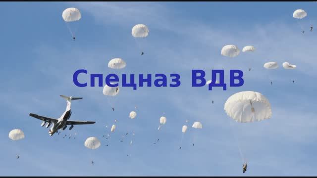 Александр Шамов "Спецназ ВДВ"