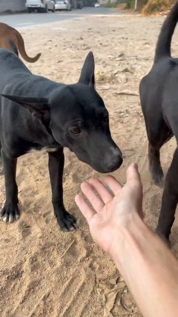 Обязательно к просмотру