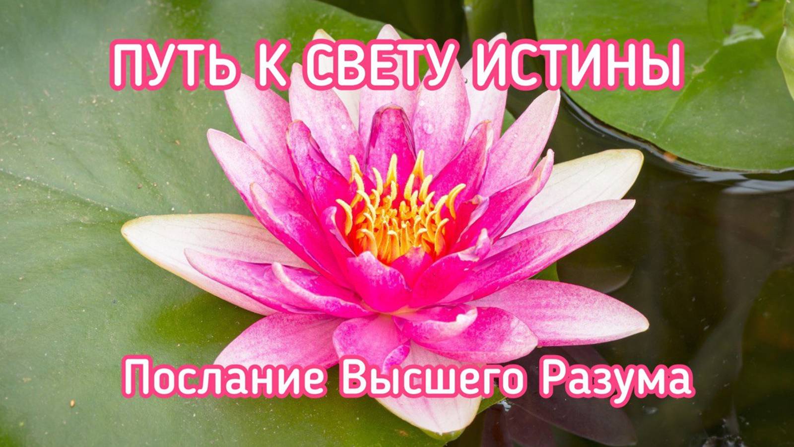 ПУТЬ К СВЕТУ ИСТИНЫ / ПОСЛАНИЕ ВЫСШЕГО РАЗУМА