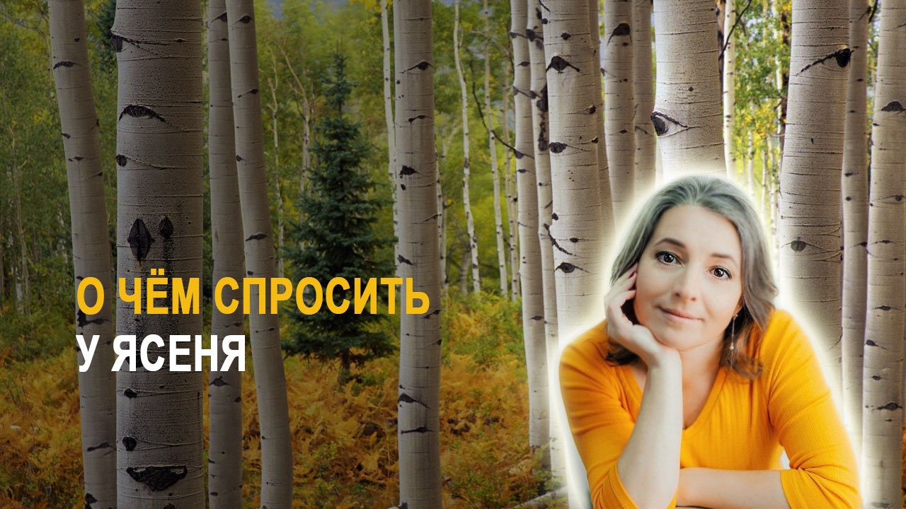 Энергетика деревьев. Как их услышать. Что поможет раскрыть свою интуицию
