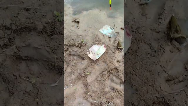 рыбалка часть 3 . огромные планы .