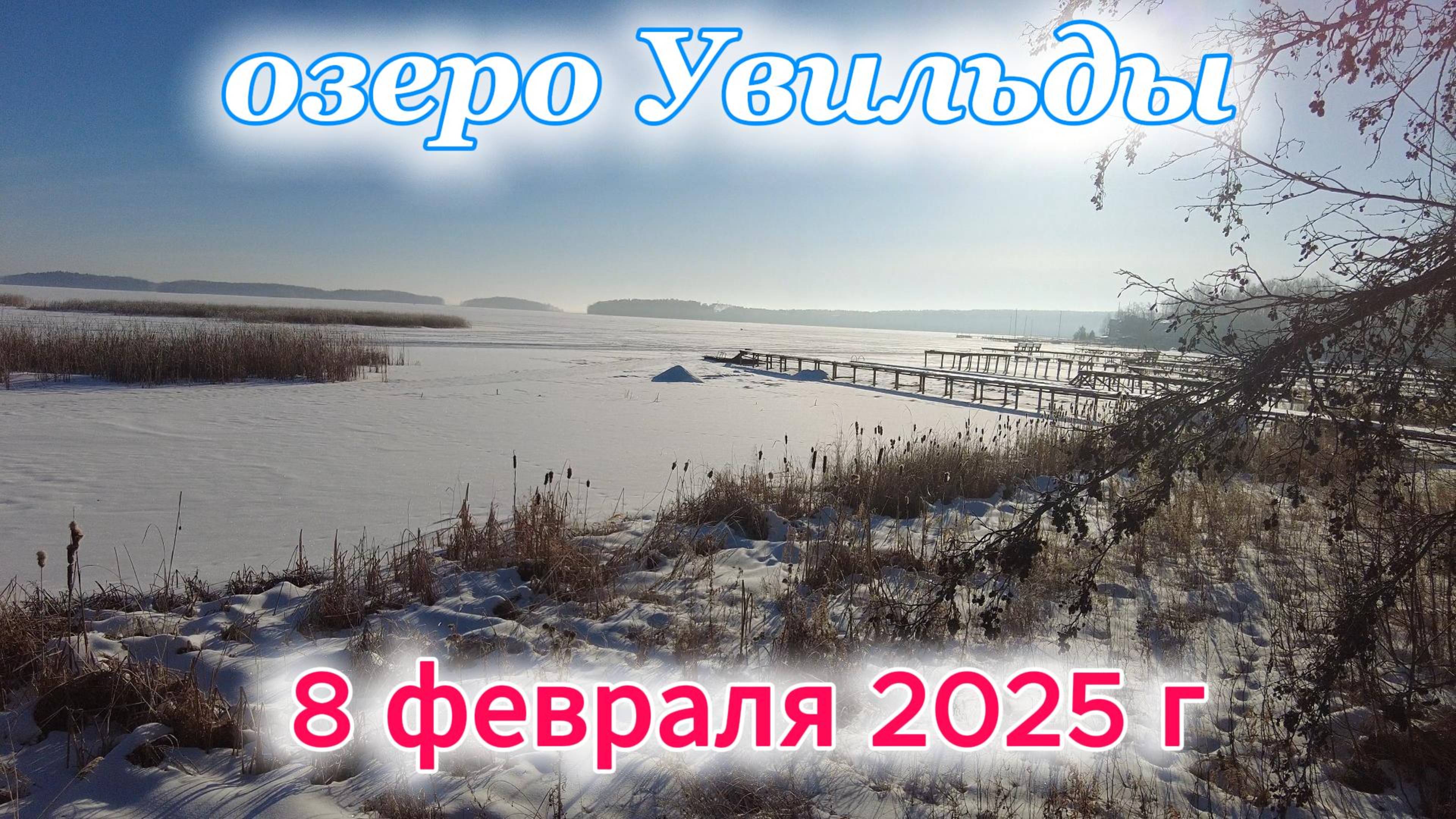 Приехали на дачу 8 февраля 2025 г