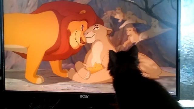 Dolly Triss watching Lion King