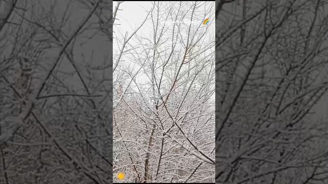 Красота одного дня снег ❄️