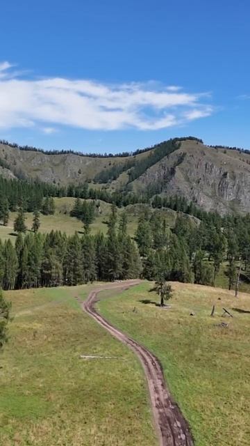 Экспедиция на Алтай за дикоросами.