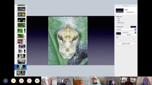 Butterflyways By-The-Sea Virtual Meeting with Guest David Johnson April 10, 2022