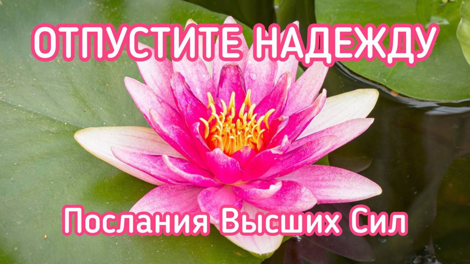 ОТПУСТИТЕ НАДЕЖДУ / ПОСЛАНИЯ ВЫСШИХ СИЛ