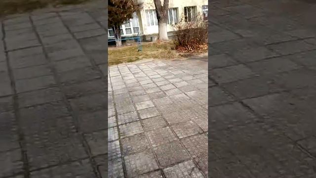 Трикове с препядствия на скутер