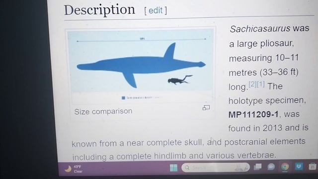 Cretaceous profile Sachicasaurus